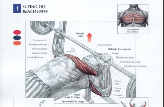 Supino declinado: como turbinar seu treino de peito e conquistar