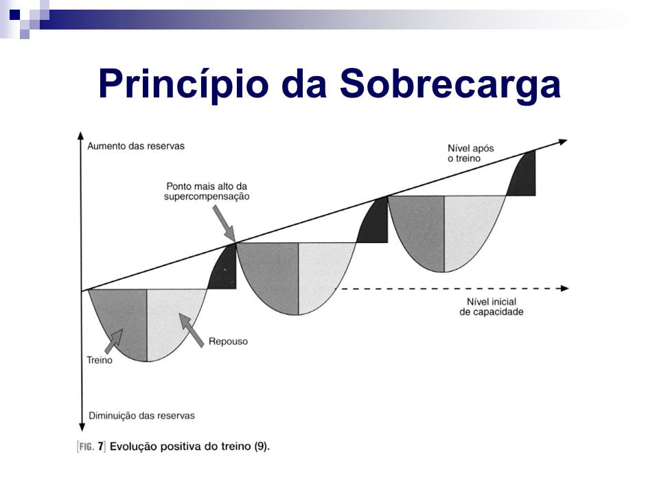 Como conseguir hipertrofia muscular feminina com o bloco de treino