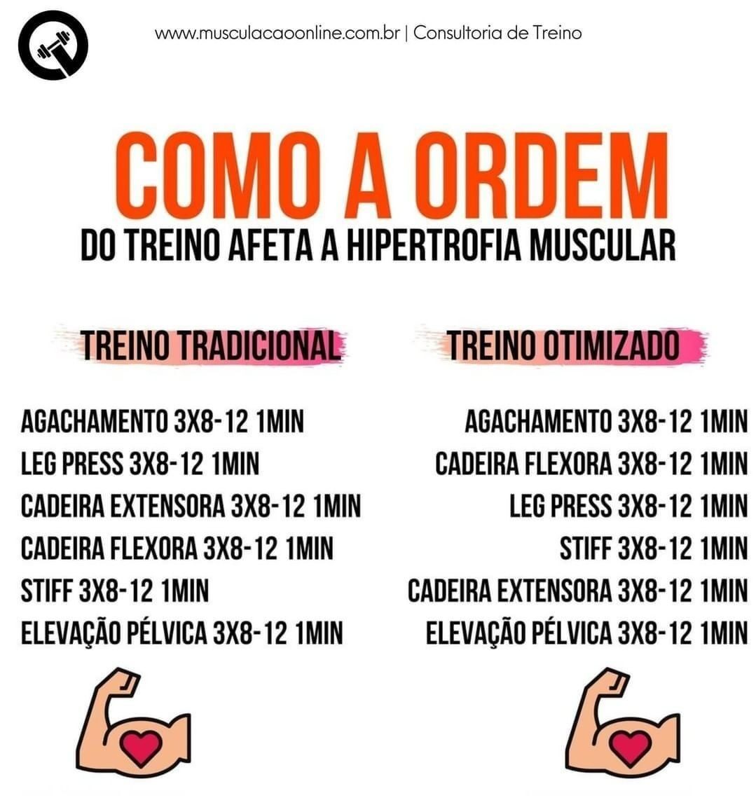 Qual A Melhor Ordem De Treino Para Crescer Personal Trainer Online 1433