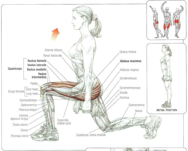 Anatomia do avanço