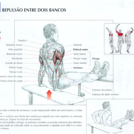 Tríceps no banco