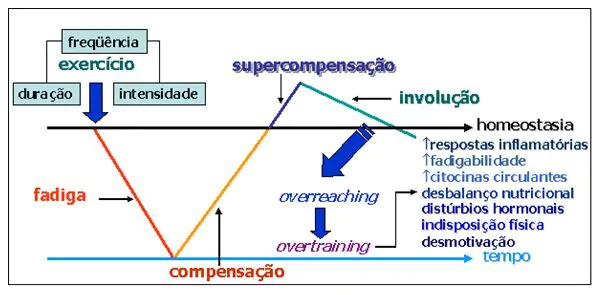 Hipertrofia, situação ideal para ganhar massa muscular