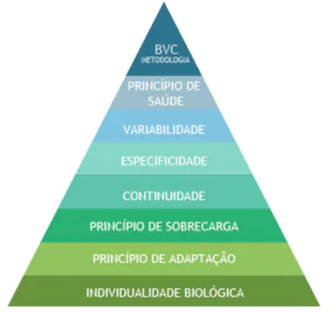 Treino de musculação e os princípios de trinamento deportivo