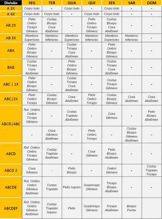 Como dividir o treino de musculação