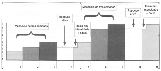 Progressão de carga ao longo de um Macrocilo de 9 meses de treino de hipertrofia