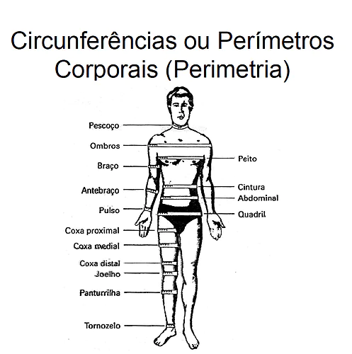 Avaliação das circunferências corporais no Personal Trainer Online