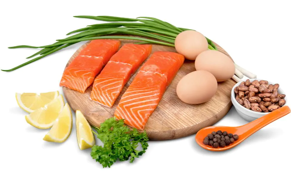 A imagem ao lado representa alimentos que podem servir como fonte de ingestão de proteínas